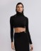 Picture of Viscose Turtleneck Crop Top With Label Black